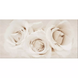 Плитка керамічна декор Camelia Inserto Flower 29.7*60